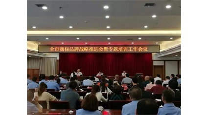 商标战略推进会表彰