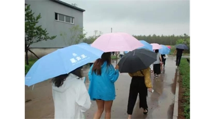 香港学子冒雨探访蒙古王酒纯粮密酿过程