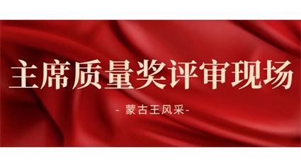 2020年度内蒙古自治区主席质量奖评审组深入内蒙古蒙古王实业股份有限公司开展现场评审