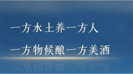 北纬43度，看蒙古王酒的不可复制性