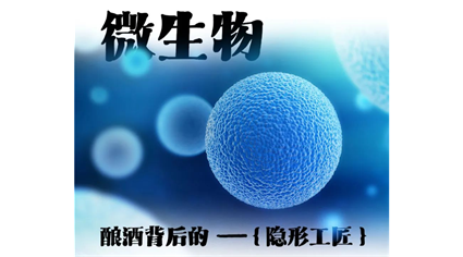 微生物 | 酿酒背后的“隐形工匠”