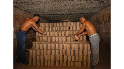 老酒陈香的秘密“重要功臣”竟是TA！